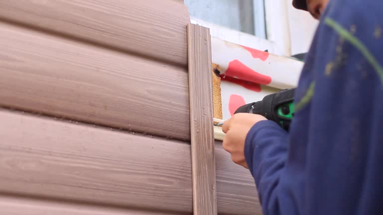 Best Wood Siding Installation  in Taylorvle, IL